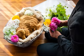 花のプロによる花送り