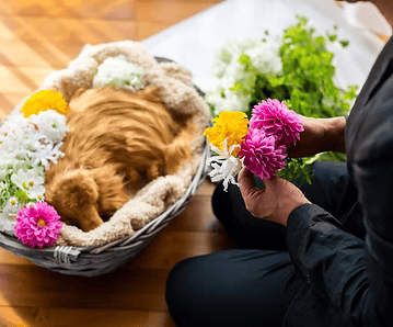 花のプロによる花送り